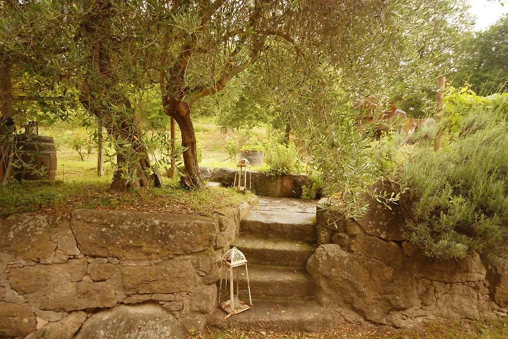 Pieve Di Caminino Historic Farm Villa Roccastrada Farm stay Podere Caminino